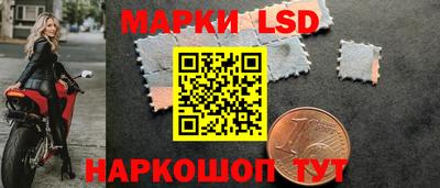 PSILOCYBIN Новозыбков