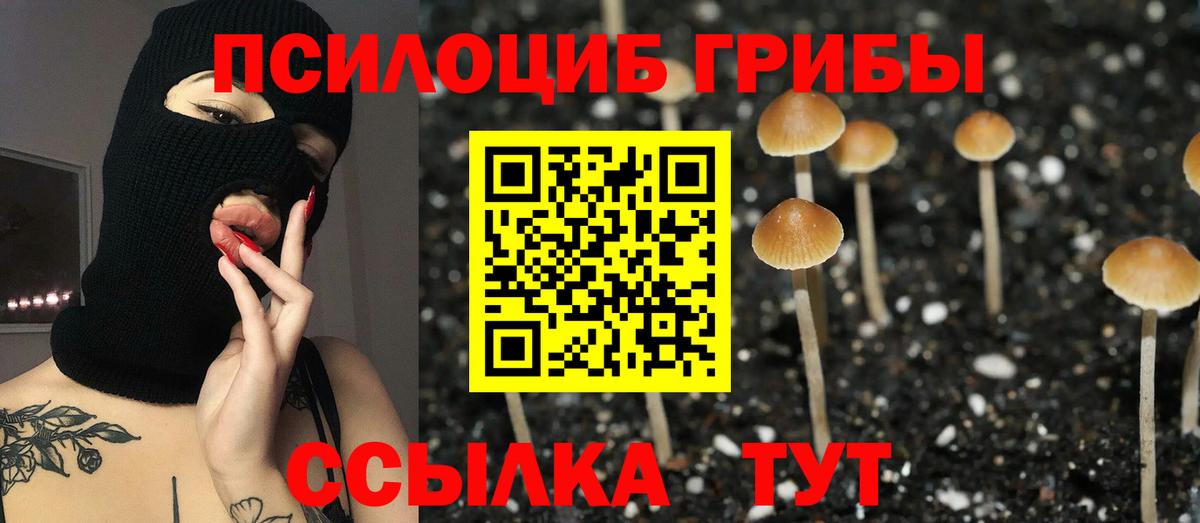 Галлюциногенные грибы GOLDEN TEACHER Пугачёв